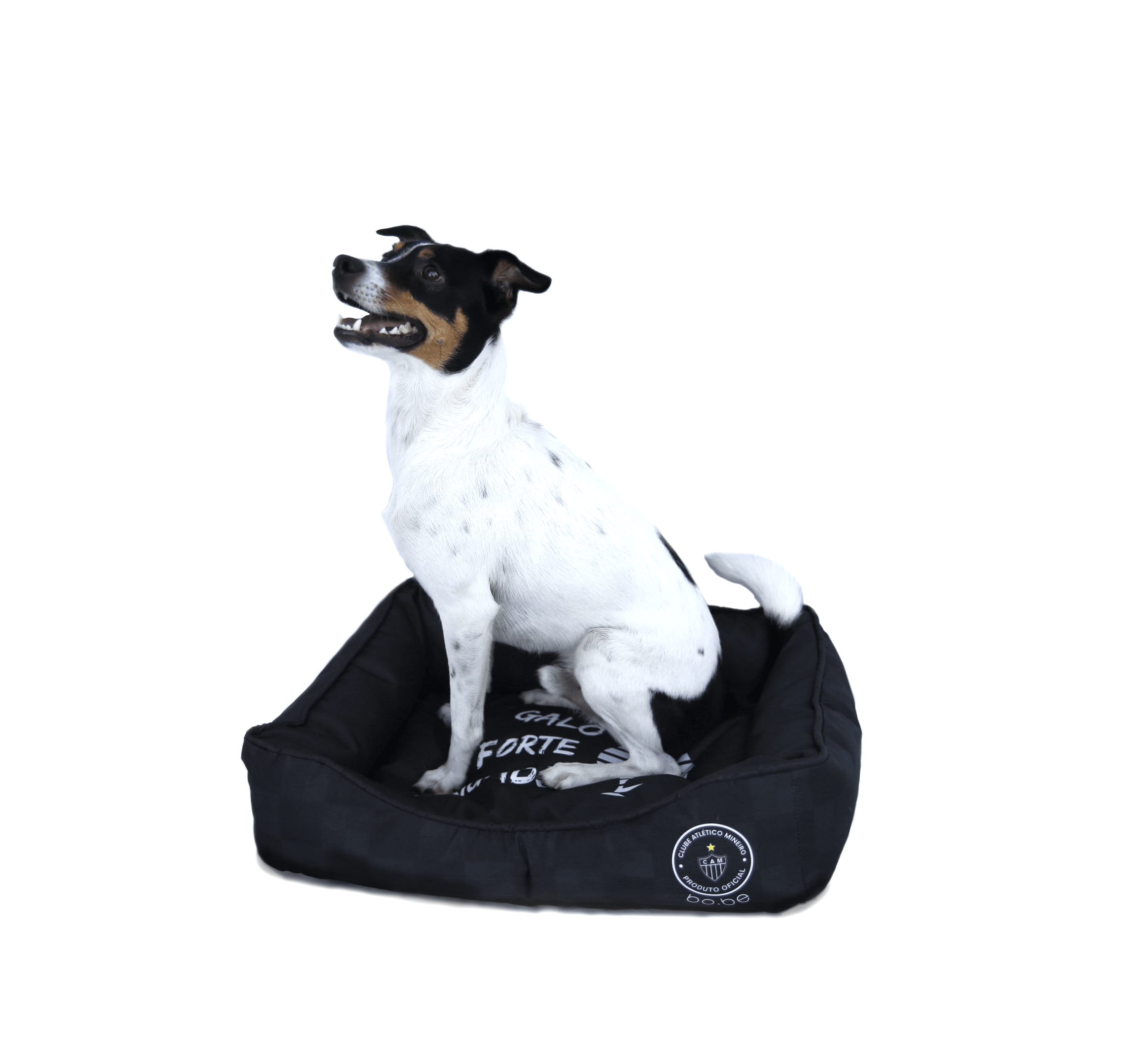 Cama Pet - Galo Forte