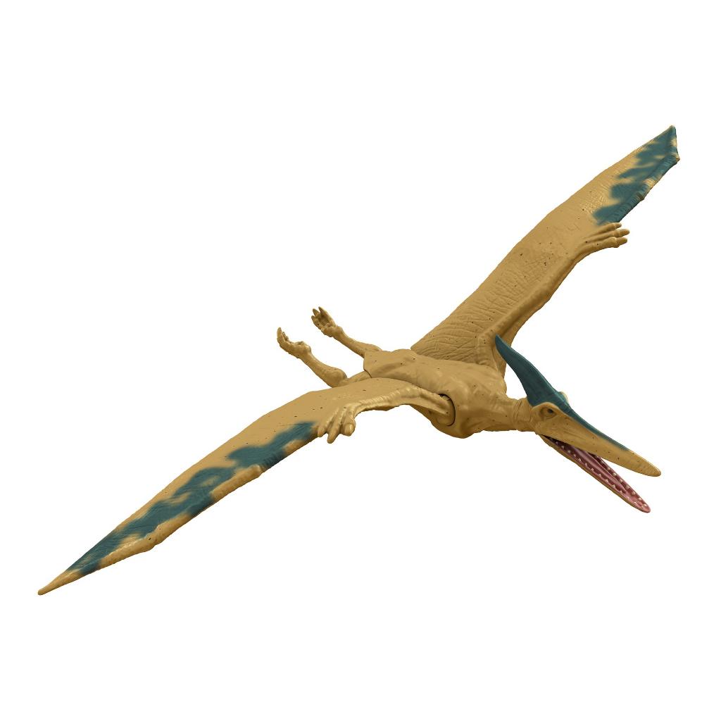 Pteranodonte e pterodáctilo são só nomes diferentes para o mesmo