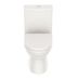 Miniatura Kit Vaso Sanitário com Caixa Acoplada e Assento Soft Close Smart Celite Pergamon