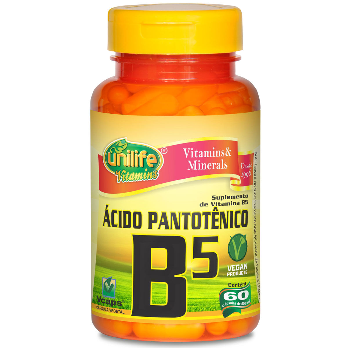 Vitamina b5 acido pantotenico … Inter Shop